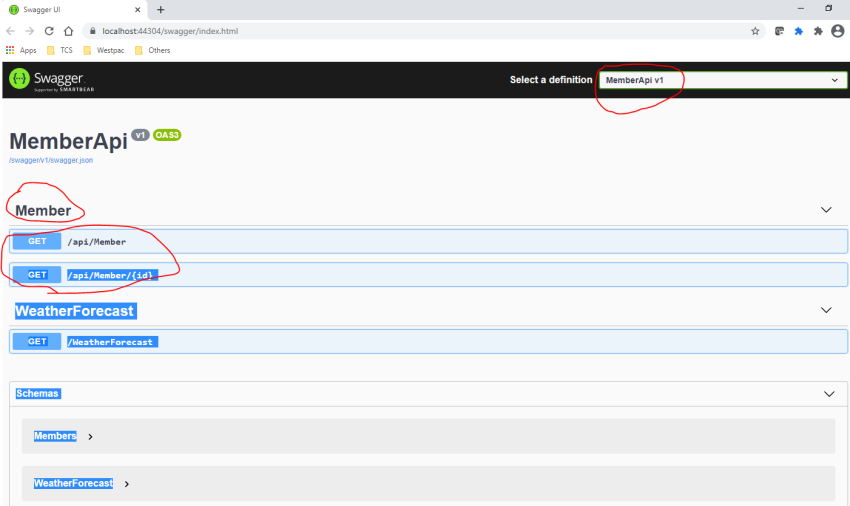 Asp.Net Core 5.0 Web API